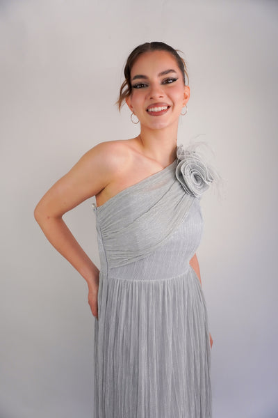 Рокля Vivian Silver